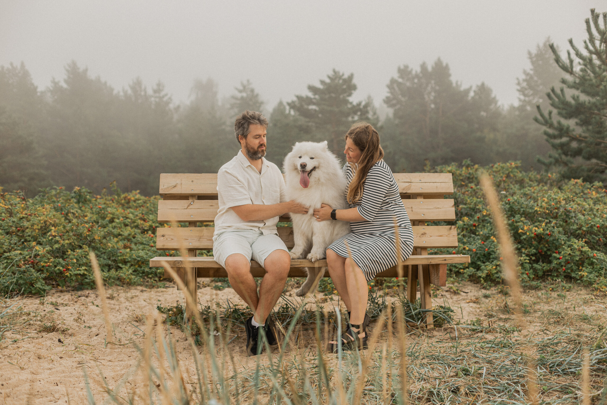 Beebiootuse fotosessioon koeraga rannas I Fotograaf Reti Kokk